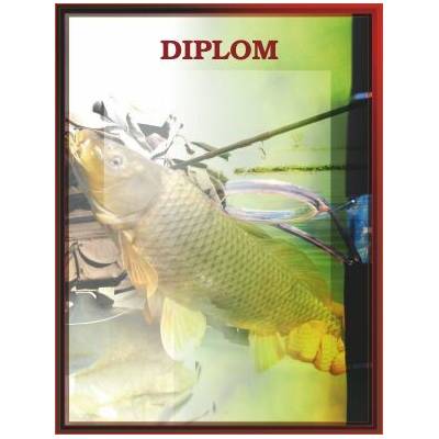TROFEJE.sk Diplom 20