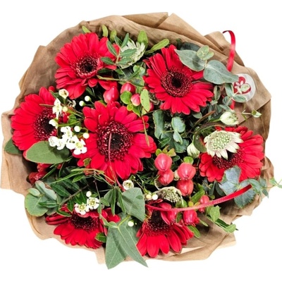 Kytice 7 ks gerber RED ADRIANA 40 cm – Hledejceny.cz