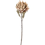 Bloomingville Изкуствено цвете Bloomingville сребърник 76 см бежово (82061468)
