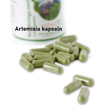 Moringa z Tenerife Artemisia annua Pelyněk roční z TENERIFE kapsle 100 ks