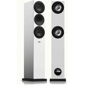 Amphion Argon 7LS Тонколони