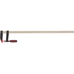 MTX 204109