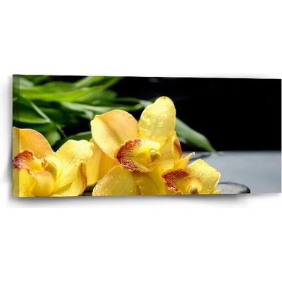 Sablio Obraz Žlté Orchidey - 110x50 cm