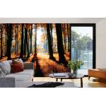 DIMEX ART Самозалепваща се флизелинова фототапета цветна есенна гора 375 x 250 см