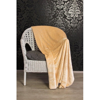 TopProsteradla.cz Mikro flanel deka Premium Béžová 230x200