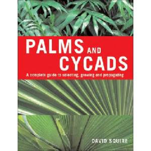 Palms and Cycads | David Squire (2007)