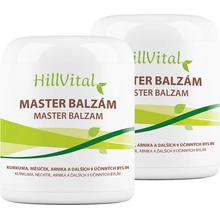 Hillvital Master balzám bolest kloubů, svalů, zad 250 ml