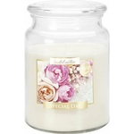 BISPOL Aura Maxi Special Day 500 g