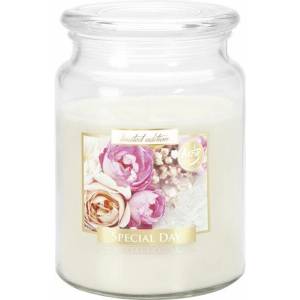 BISPOL Aura Maxi Special Day 500 g