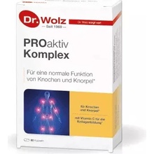 Dr. Wolz Gelenk Komplex PROaktiv Komplex 80 kapsúl