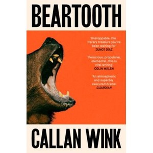 Beartooth (ISBN: 9781803510989)