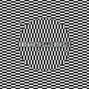 CARTER TUTTI VOID: TRANSVERSE, CDdigi