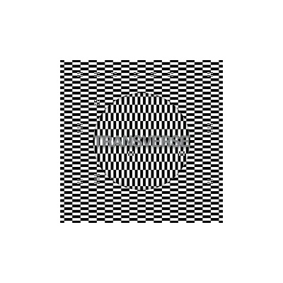 CARTER TUTTI VOID: TRANSVERSE, CDdigi
