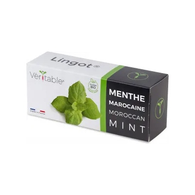veritable Семена Мароканска Мента VERITABLE Lingot® Maroccan Mint (VLIN-A10-Men056)