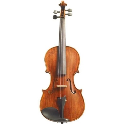 Stentor Arcadia 4/4 Акустична цигулка (SR1880A)