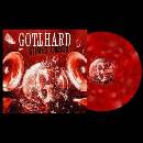 Gotthard Stereo Crush 1 CD