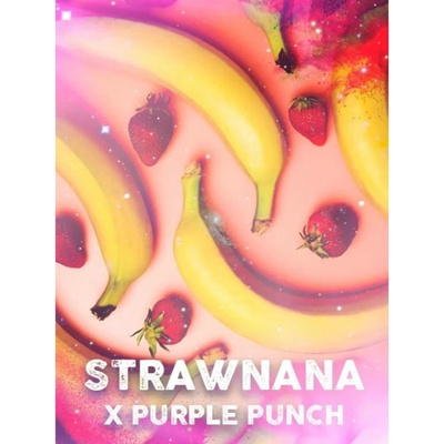 Tramuntana Seeds Strawnana x Purple Punch semienka neobsahujú THC 3 ks