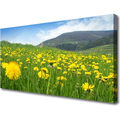 Obraz na plátně Pampeliška Příroda 100x50 cm