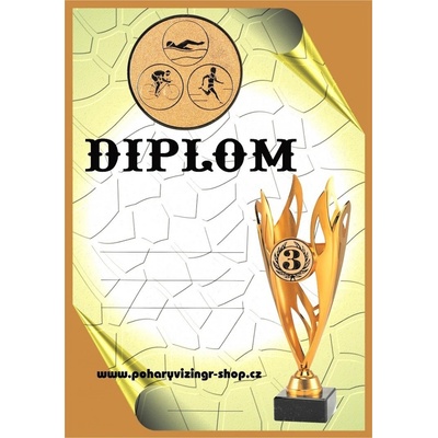 VIZINGR Triatlon diplom A4 č.5