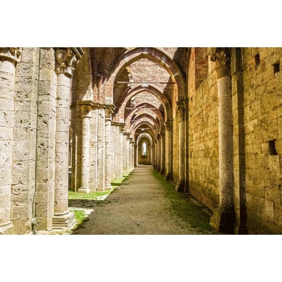 Dimex MS-5-0726 Vliesová fototapeta Ruiny kostela rozměry 375 x 250 cm
