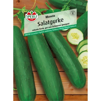 Sperli salátová okurka "Moneta"