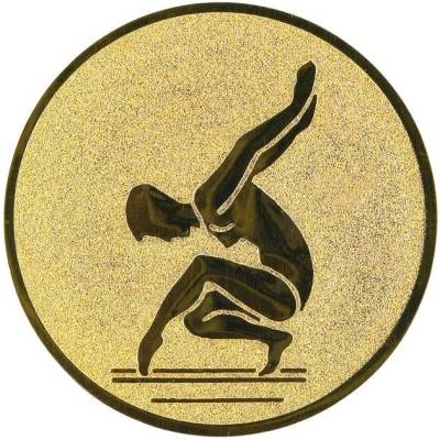 0310 Emblém gymnastika