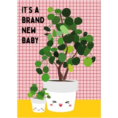 Studio Inktvis Blahopřání Baby Pilea peperomioides, 1 ks