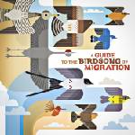 Various Artists - A Guide To The Birdsong Of Migration (LP) (0634457231368)