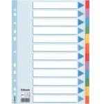Esselte Inserts 12 cards 6 colors DESCRIPTION CARD (100194)