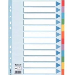 Esselte Inserts 12 cards 6 colors DESCRIPTION CARD (100194)