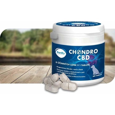 Fortify Chondro CBD 60 tbl