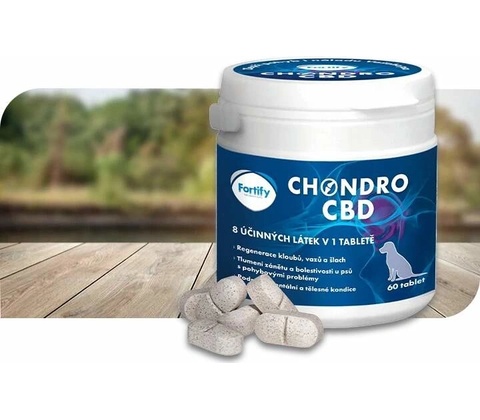 Fortify Chondro CBD 60 tbl