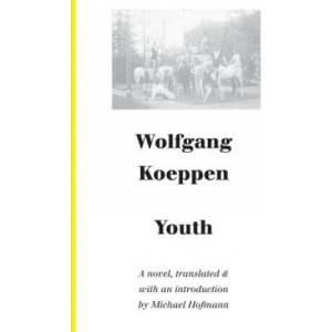 Youth - A Novel (2015)