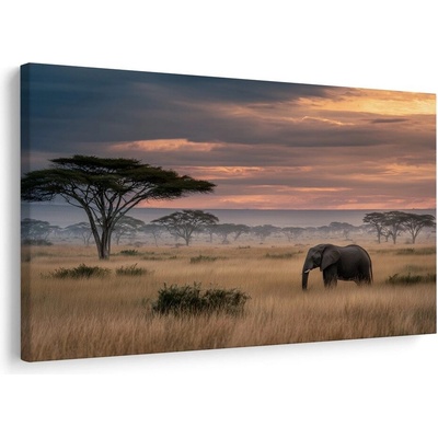 Obraz africký soumrak s divočinou - 30x20