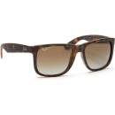 Image 1 of Ray-Ban Justin RB4165 865/T5