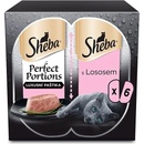 Sheba Perfect Portions s lososom pre dospelé mačky 6 x 37,5 g