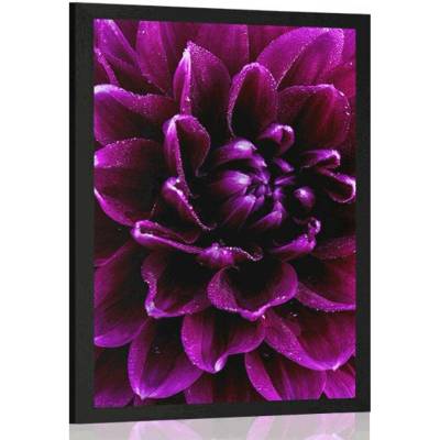 Plakát purpurovo-fialový květ - 20x30 silver