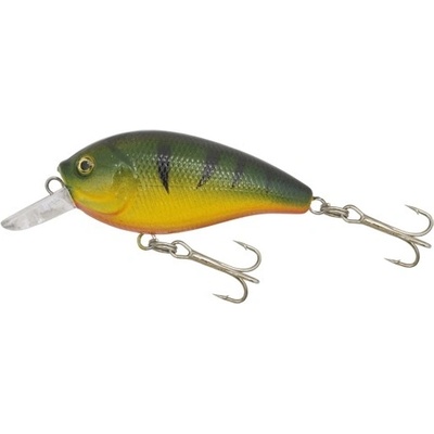 Kamasaki Fat Olejovo Zelené-Žltá 6cm