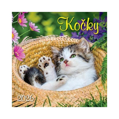 Kočky nástěnný 33 x 33 cm 2026