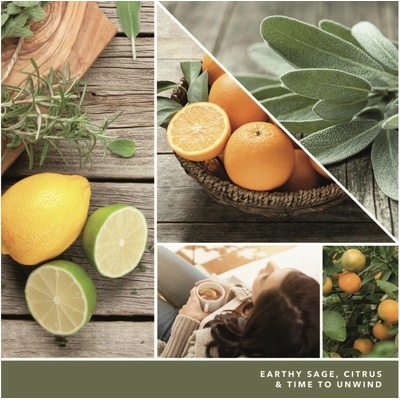 Yankee Candle Signature Sage & Citrus 567g