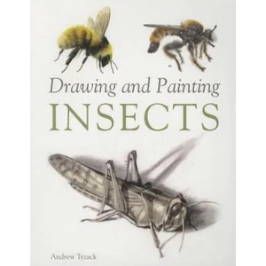 Drawing and Painting Insects | Andrew Tyzack (2014)