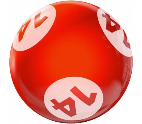 Bingo vrtané 14