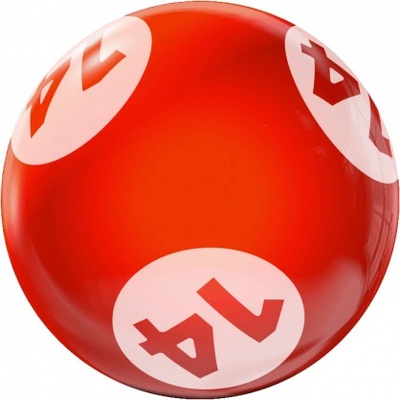 Bingo vrtané 14