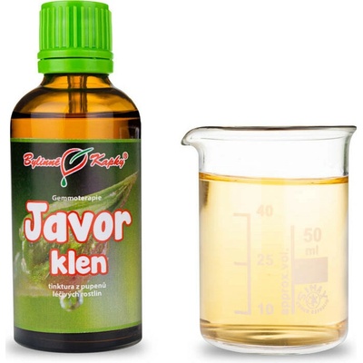 Javor horský púčiky gemmoterapie 50 ml