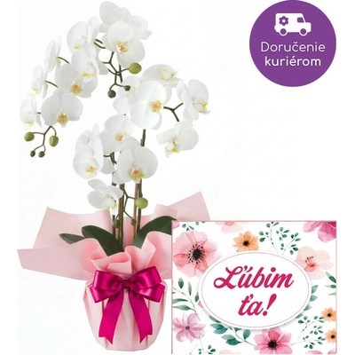 Orchidea + Merci "Ľúbim ťa"