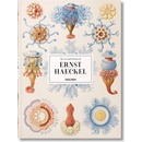 Haeckel