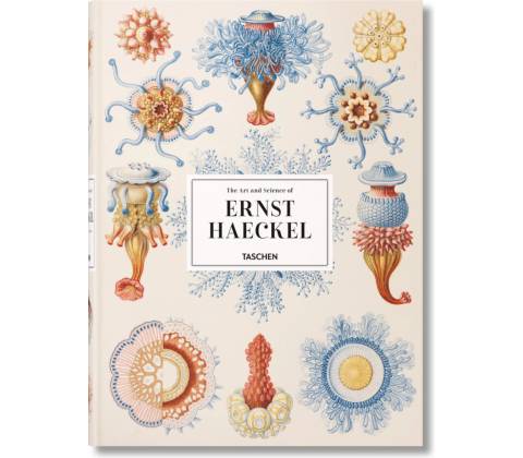 Haeckel