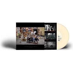 Universal Mumford & Sons: Babel (Coloured Vinyl) - Vinyl (LP) (056543)