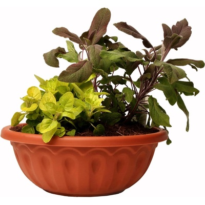Plastia žardina Lea 26 cm teracota