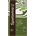 Spetema Caffe Кафе дози Spetema Espresso Bio, 18 дози